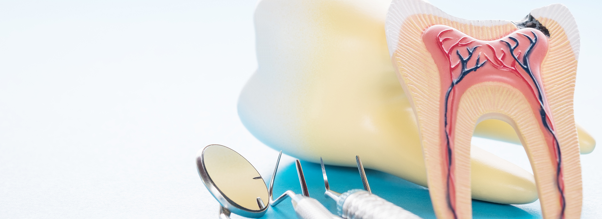 Dr. Anthony Iuvone, DMD | Preventative Program, Emergency Treatment and Dental Cleanings